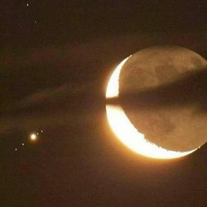 大荫蒂XX另类多毛
