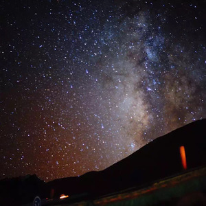 大荫蒂XX另类多毛
