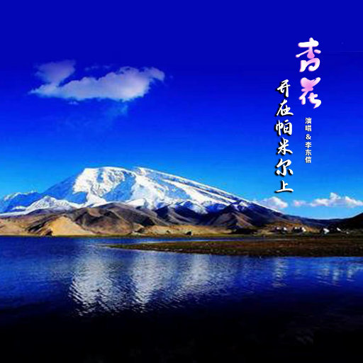 大荫蒂XX另类多毛
